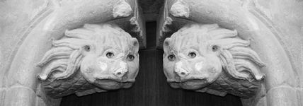 Leones