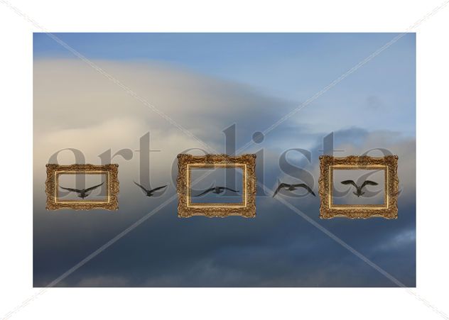 Museo aereo