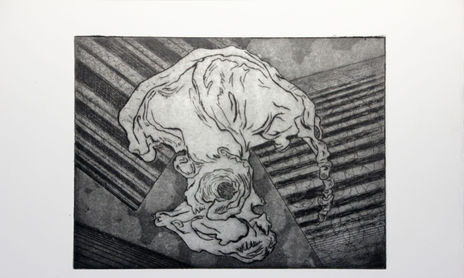 Anatomía