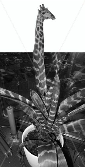 Plantijirafa Other Themes Black and White (Digital)