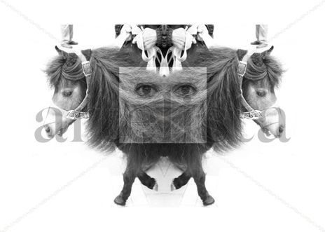 Ponysmile