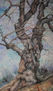 roble