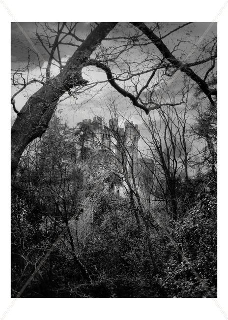 Butrón 3 bw