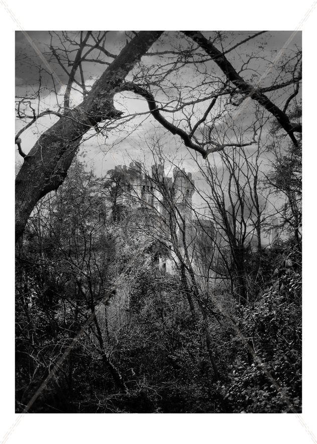 Butrón 3 bw