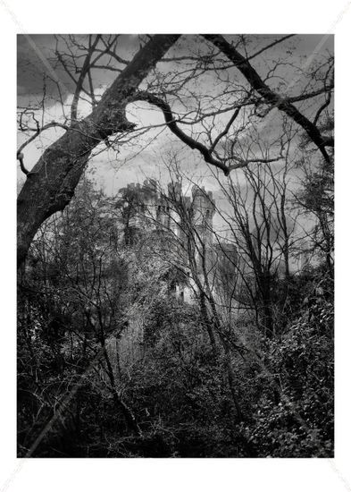 Butrón 3 bw Naturaleza Blanco y Negro (Digital)