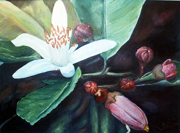 Azahar Oil Panel Floral Painting