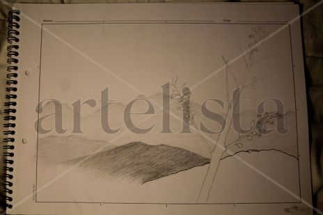 Primavera gris
