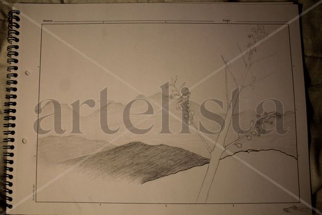 Primavera gris