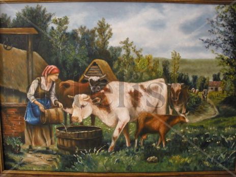 Vacas