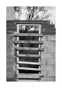 Door and bird bw