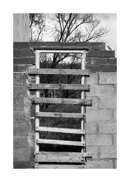Door and bird bw