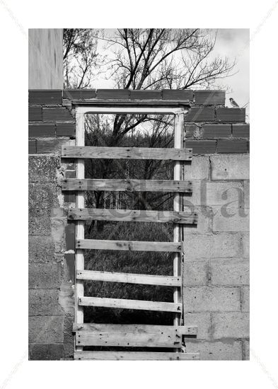 Door and bird bw Nature Black and White (Digital)