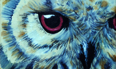 Animales