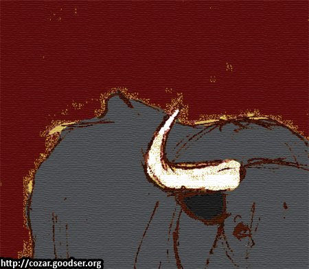 Toro 1