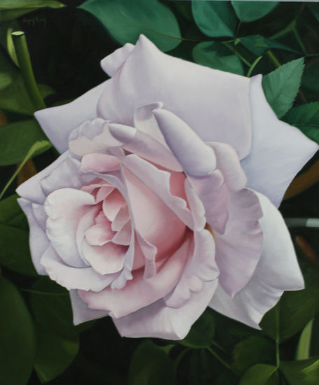 Rosa I Oil Panel Floral Painting