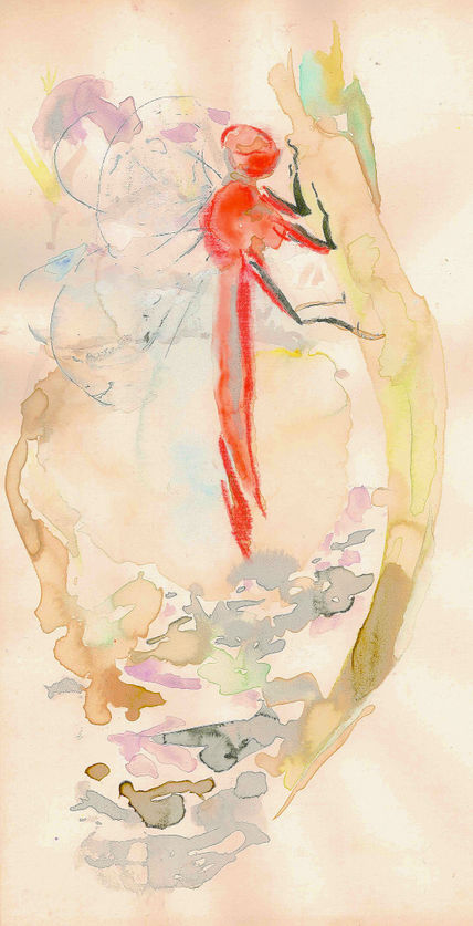 Libelula