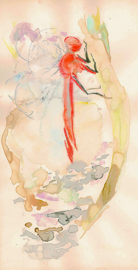 Libelula