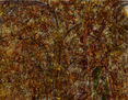 otoño pollockiano
