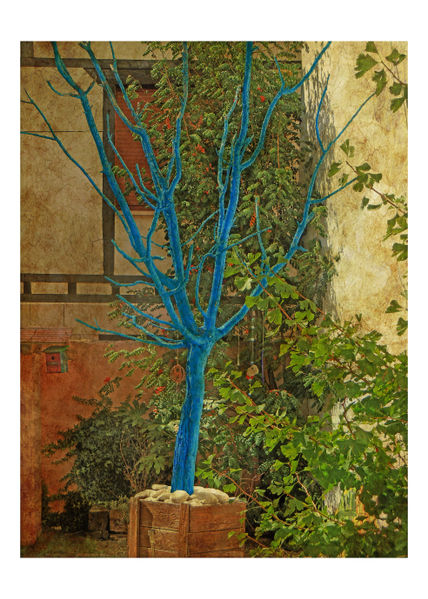 Blue tree