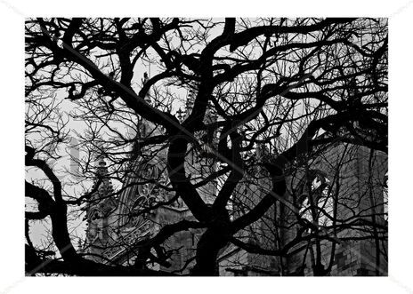 Invierno en la...