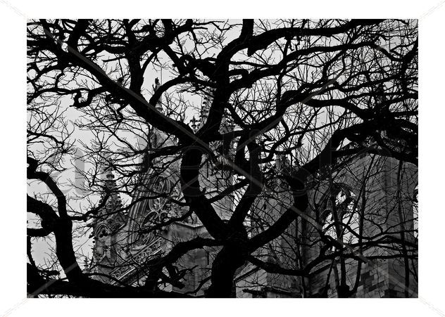 Invierno en la catedral