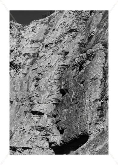 Pareidolia Nature Black and White (Digital)