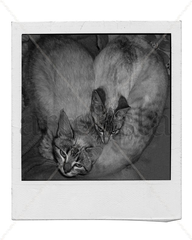 Catheart