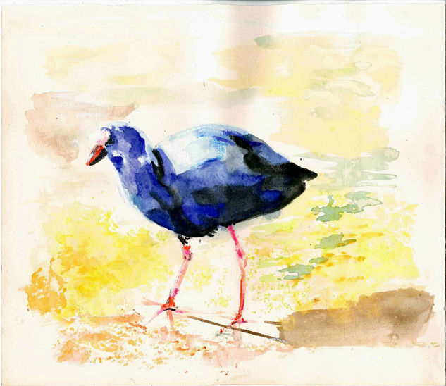 pardal de marjal Watercolour Paper Animals