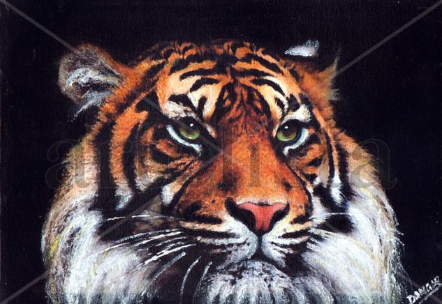 30A-TIGRE Media Mixta Papel Animales