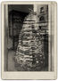 El árbol de la biblioteca