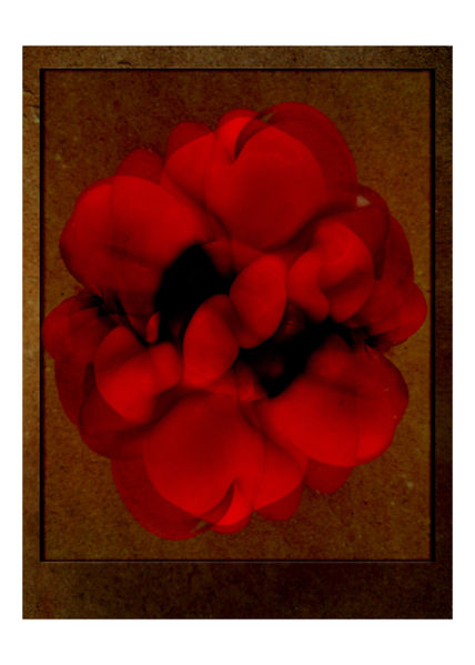 Flored