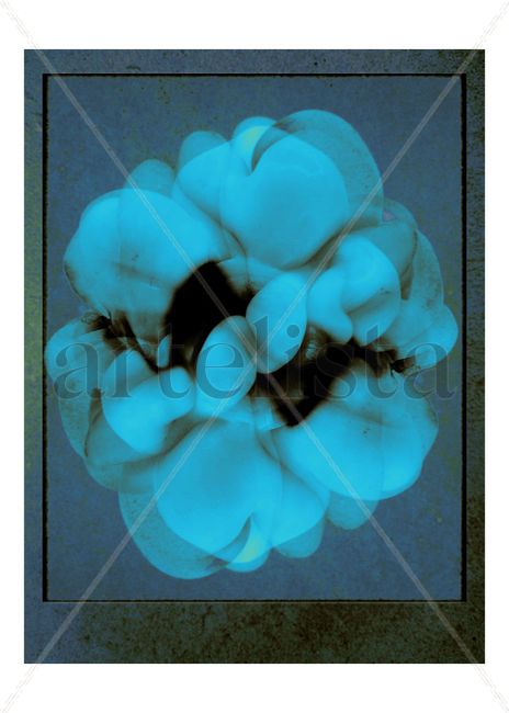Flozed