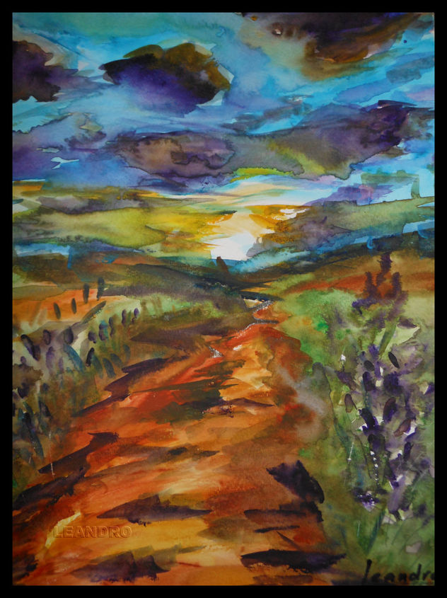 Caminos de lavanda en flor - Paths of lavender in bloom