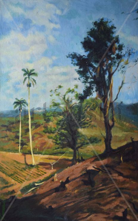 Paisaje rural