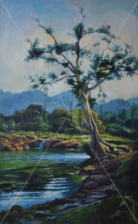 Árbol con rio