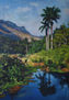 paisaje con palmas