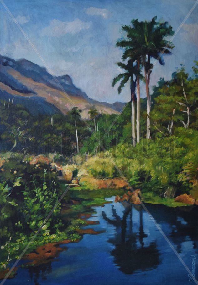 paisaje con palmas