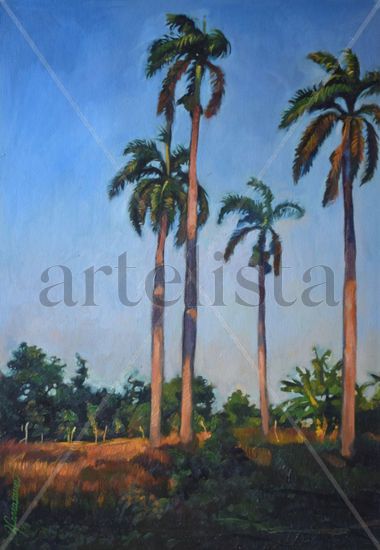 palmar Oil Canvas Landscaping