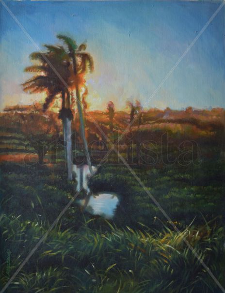 Atardecer con palmas