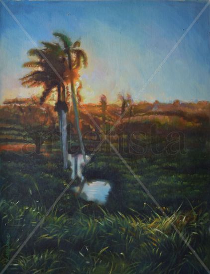 atardecer con palmas Oil Canvas Landscaping