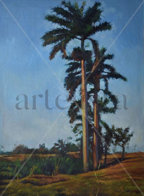 Palmar en cuba