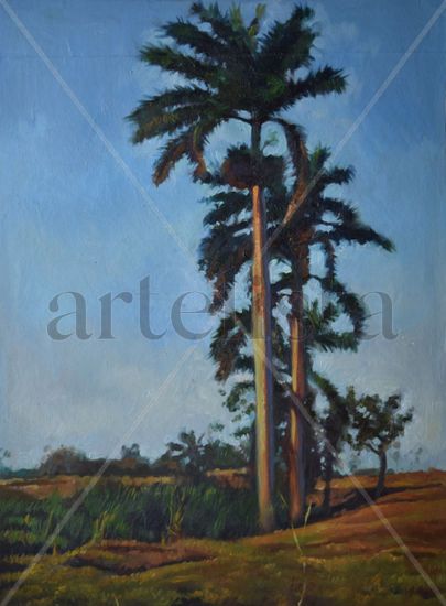 palmar en cuba Oil Canvas Landscaping