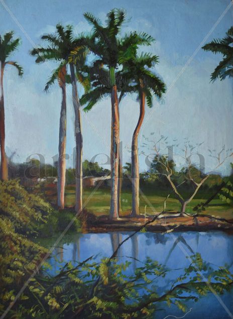 Palmar en el lago