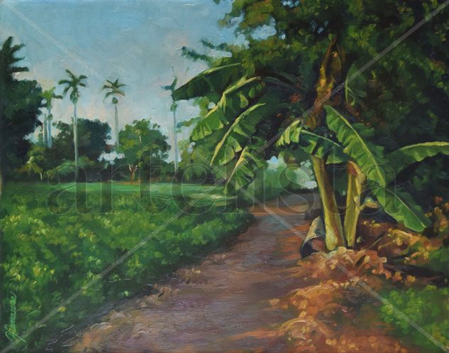 platanal Oil Canvas Landscaping