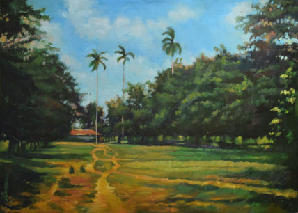 Camino rural