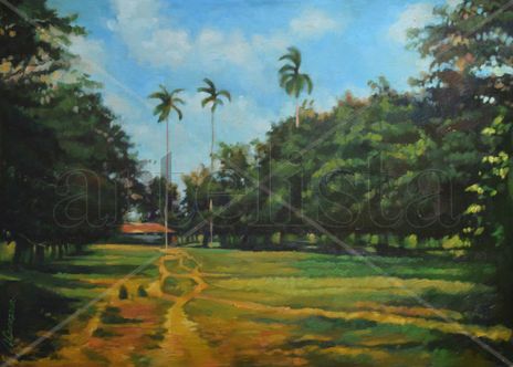 Camino rural