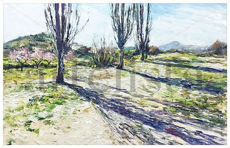 Paseo por cehegin