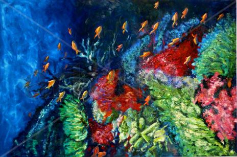 Coral 1