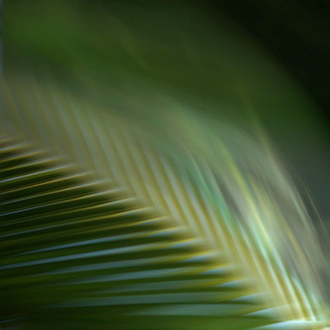 digital 05