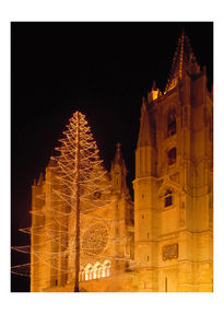 Navidad en la catedral